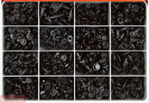 TRIM CLIPS - SCRIVET Master Kit CA2080 ORDER ON REQUEST